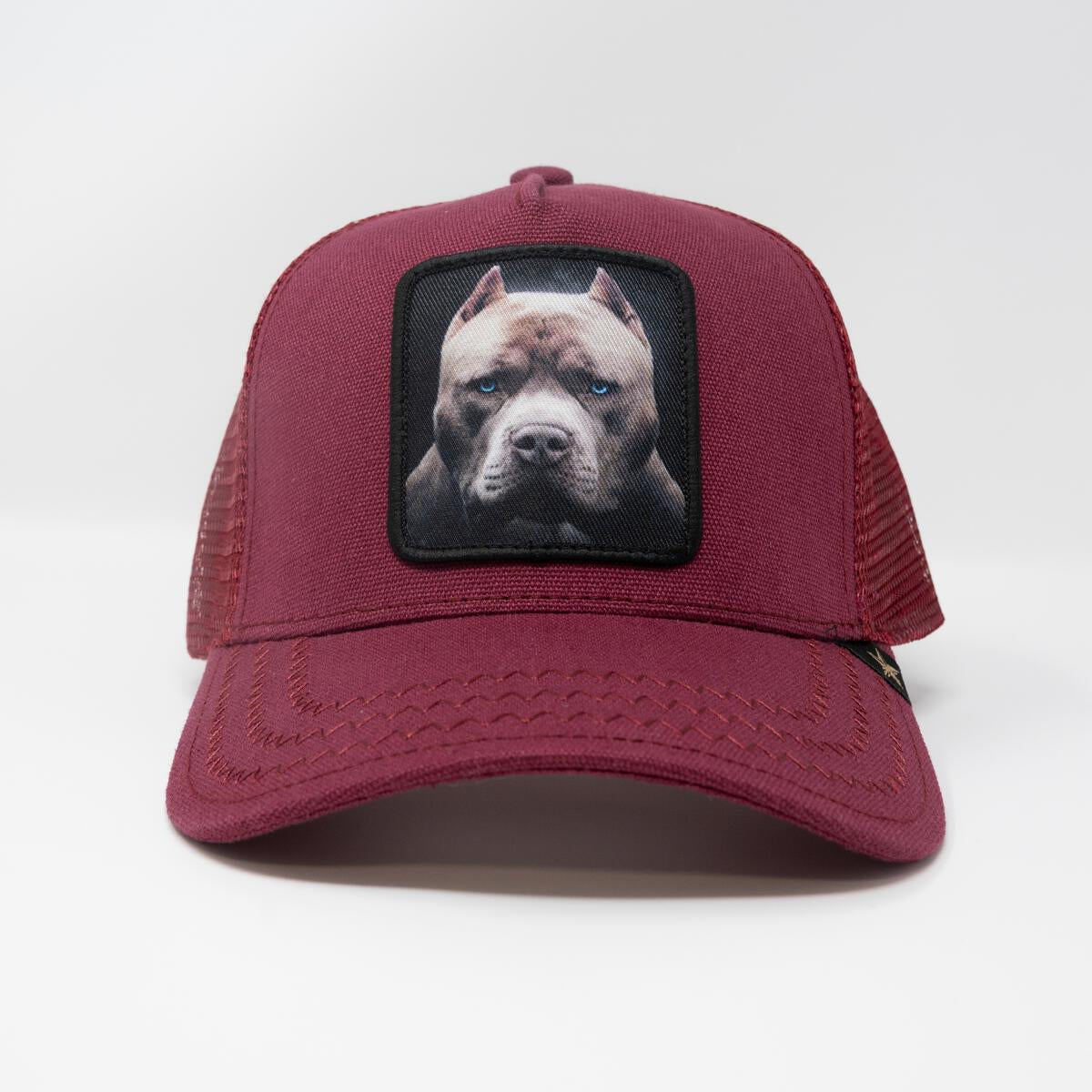 GOLD STAR HATS TRUCKER PIT BULL HAT
