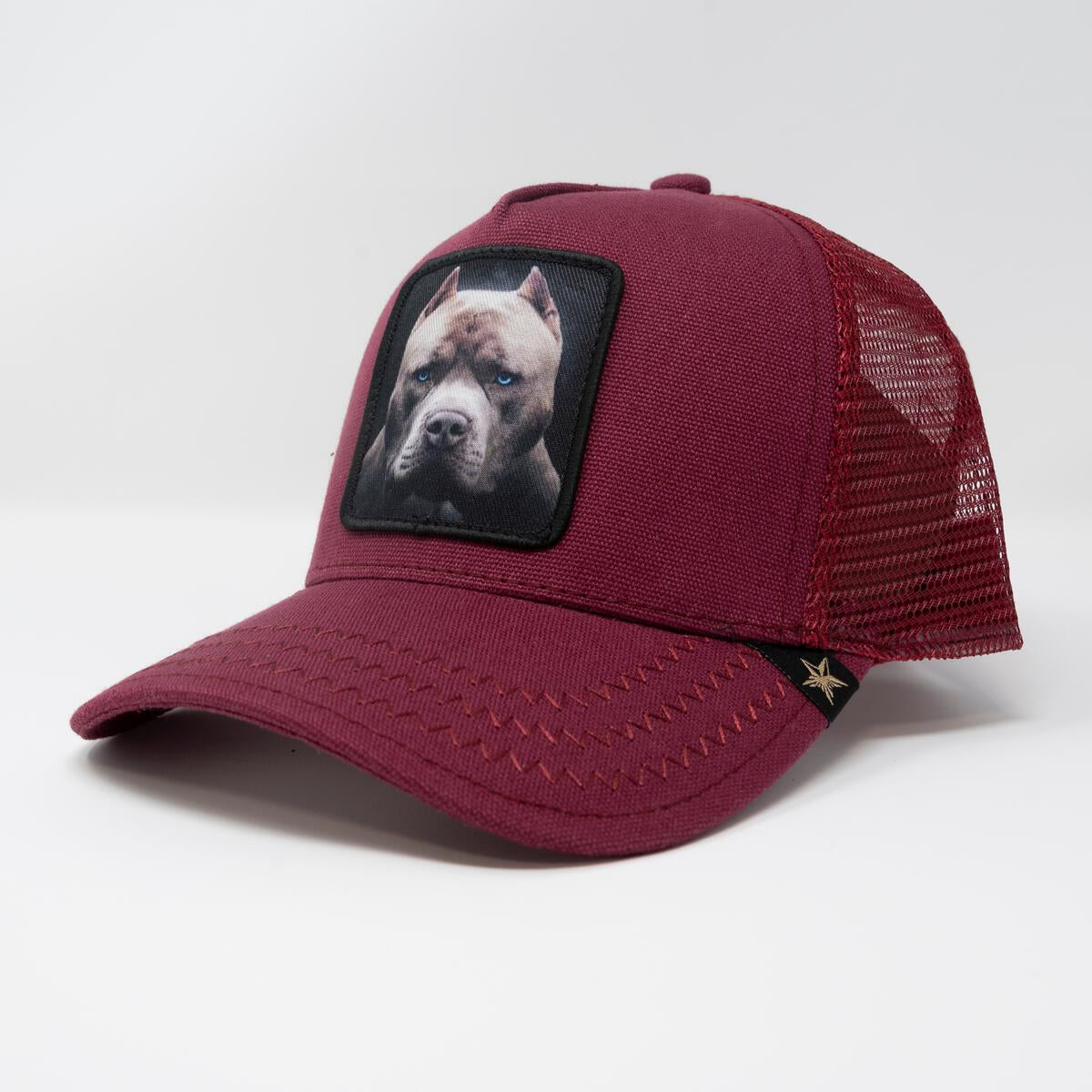 GOLD STAR HATS TRUCKER PIT BULL HAT